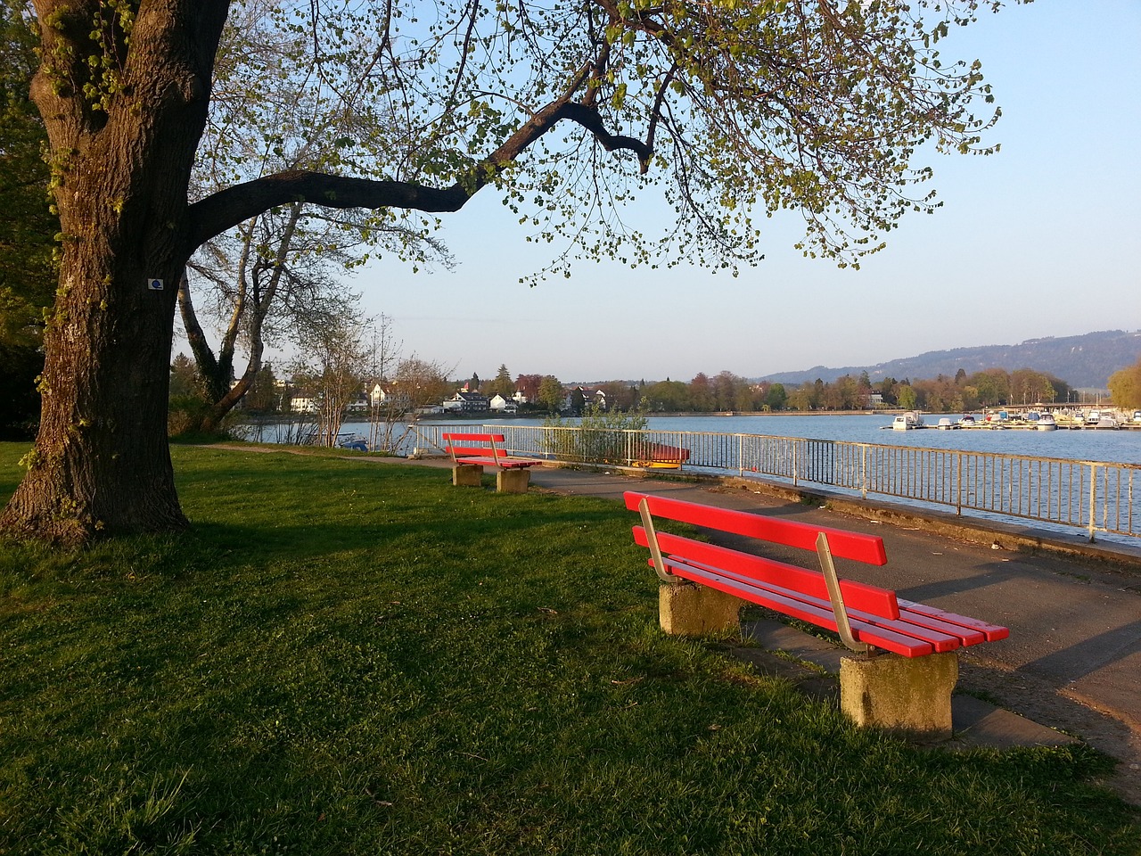 能的德布劳 能的德布劳