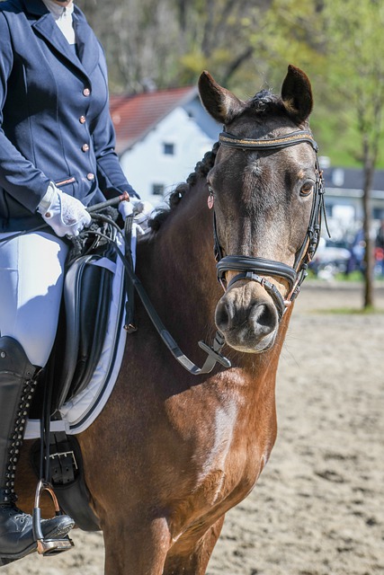 合理管理身 合理管理身