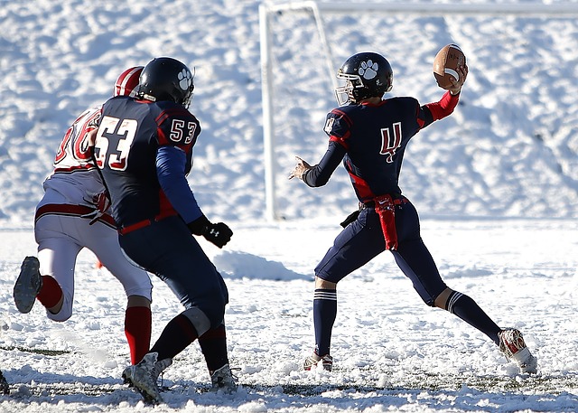 中贡献了多 中贡献了多