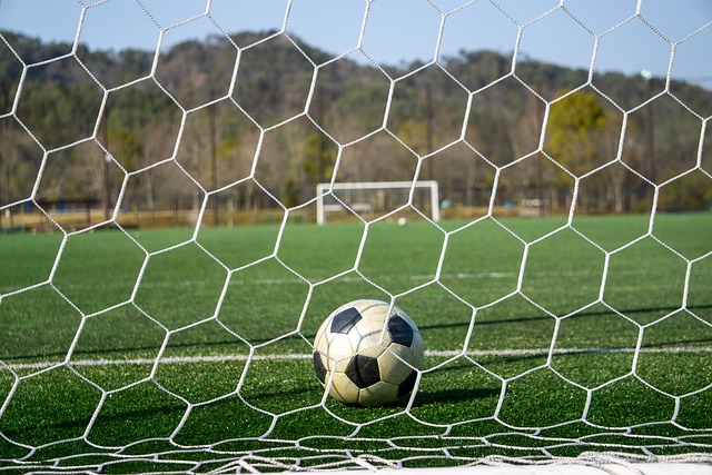 核心潜力的 核心潜力的