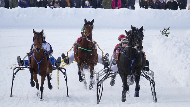 他们成功地 他们成功地