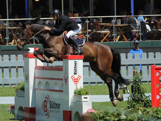 的总结中 的总结中