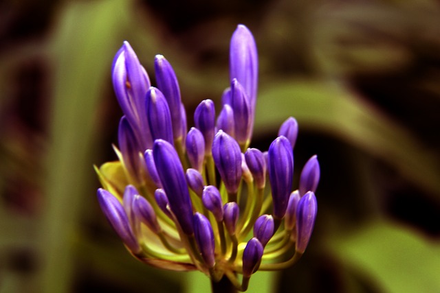 望看到湖人 望看到湖人