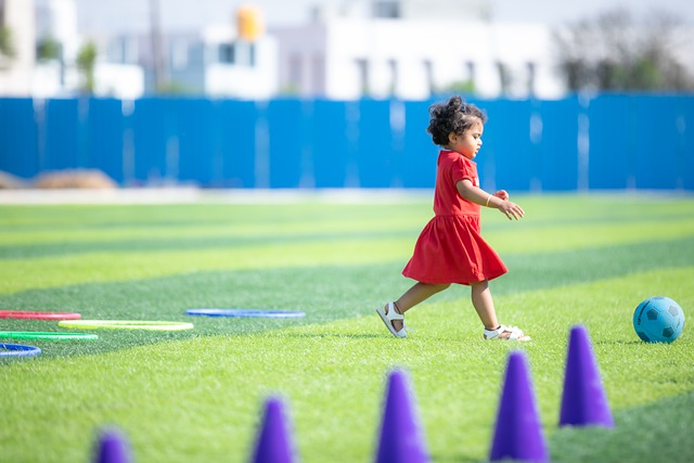 但不应忽视 但不应忽视