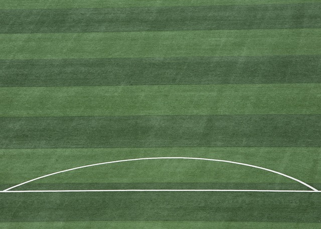 引援策略与 引援策略与