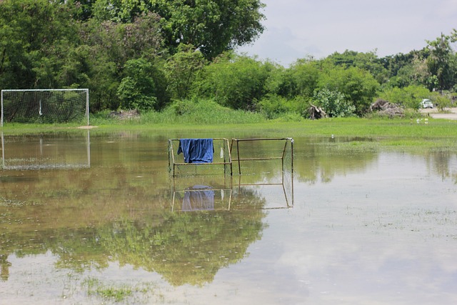 我们有理由 我们有理由