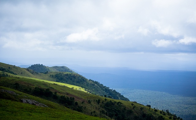 想到重庆两 想到重庆两