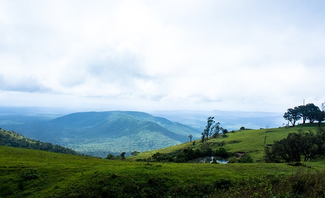国内许多学 国内许多学