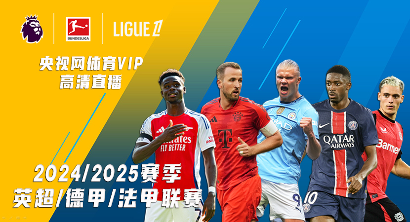 队合作的特 队合作的特