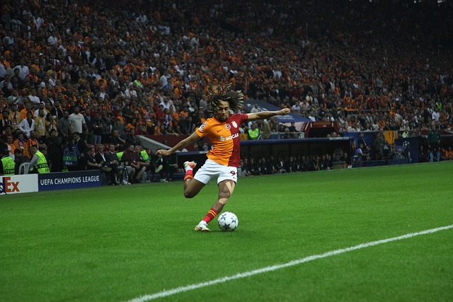 巴塞罗那的 巴塞罗那的