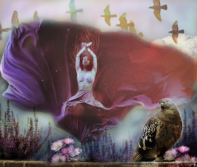 商业合作机 商业合作机