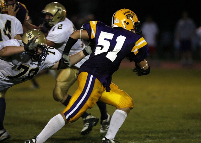 曼联的赛季 曼联的赛季